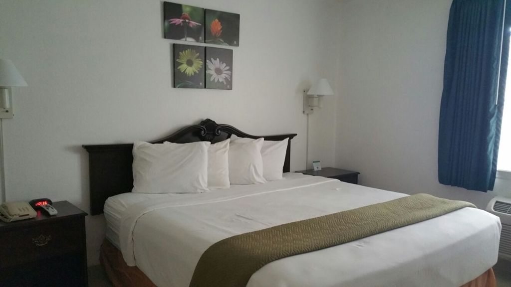 Rodeway Inn Clearwater - Central Pokoj fotografie